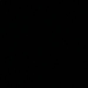 Meet your Posher, Gracie